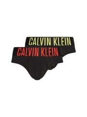 Мужские трусы Calvin Klein SLIPY HIP BRIEF 2 пары, черные 000NB2601A W3M 44994 цена и информация | Мужские трусы | kaup24.ee