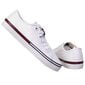 Naiste tossud Tommy Hilfiger TOMMY JEANS ESSENTIAL LOW WMN, valge EN0EN01796 YBR 44101 цена и информация | Naiste spordi- ja vabaajajalatsid | kaup24.ee