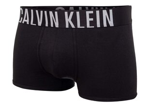 Мужские трусы Calvin Klein, 2 пары, черные 000NB2602A UB1 цена и информация | Мужские трусы | kaup24.ee