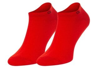 Мужские носки CALVIN KLEIN 2 пары, черные/красные 701218707 007 44521 цена и информация | Мужские носки | kaup24.ee
