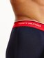 Meeste aluspüksid TOMMY HILFIGER WB TRUNK, 3 paari, tumesinised UM0UM01642 0SN 42529 цена и информация | Meeste aluspesu | kaup24.ee