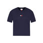 Tommy Hilfiger naiste T-särk TJW TOMMY CENTER BADGE TEE, tumesinine DW0DW10404 C87 43243 hind ja info | Naiste T-särgid, topid | kaup24.ee