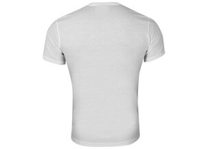 Calvin Klein meeste T-särk SS/S CREW NECK WHITE NM1129E 100 30300 цена и информация | Мужские футболки | kaup24.ee