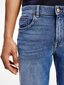Meeste teksapüksid Tommy Hilfiger BROOKLYN Short 5PKT BOSTON IND DENIM MW0MW18035 1A9 45549 34 цена и информация | Meeste lühikesed püksid | kaup24.ee