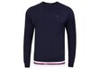 Meeste dressipluus Tommy Hilfiger TRACK TOP LS HWK NAVY UM0UM01928 DW5 28748 hind ja info | Meeste kampsunid | kaup24.ee