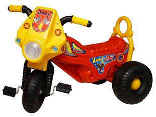 Laste kolmerattaline sõiduk hind ja info | Imikute mänguasjad | kaup24.ee