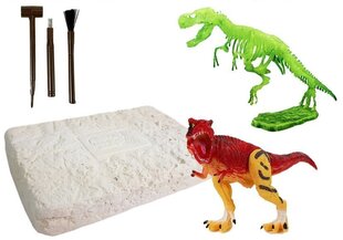 Noore arheoloogi komplekt koos pimedas helendava dinosaurusega цена и информация | Развивающие игрушки | kaup24.ee