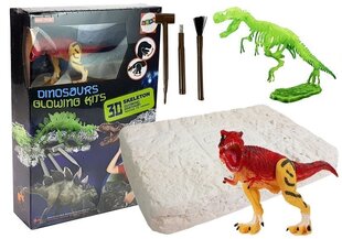 Noore arheoloogi komplekt koos pimedas helendava dinosaurusega цена и информация | Развивающие игрушки | kaup24.ee