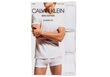 Calvin Klein meeste T-särgid, 3 tk. T-SHIRT S/S CREW NECK 3PK WHITE NB4011E 100 29833 hind ja info | Meeste T-särgid | kaup24.ee