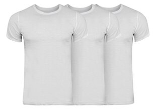 Calvin Klein meeste T-särgid, 3 tk. T-SHIRT S/S CREW NECK 3PK WHITE NB4011E 100 29833 hind ja info | Meeste T-särgid | kaup24.ee