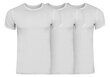 Calvin Klein meeste T-särgid, 3 tk. T-SHIRT S/S CREW NECK 3PK WHITE NB4011E 100 29833 цена и информация | Meeste T-särgid | kaup24.ee