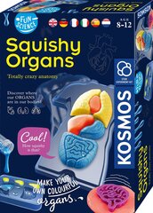 Творческий набор Squichy Organs, 8 лет+ цена и информация | Развивающие игрушки | kaup24.ee