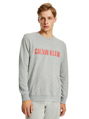 Мужская футболка Calvin Klein SWEATSHIRT L/S, серая 000NM1960E W6K 42839 цена и информация | Мужские футболки | kaup24.ee