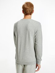 Мужская футболка Calvin Klein SWEATSHIRT L/S, серая 000NM1960E W6K 42839 цена и информация | Мужские футболки | kaup24.ee