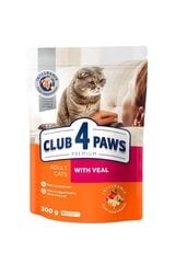 CLUB 4 PAWS Premium täisväärtuslik kuivtoit täiskasvanud kassidele veiselihaga, 300 g. hind ja info | Kuivtoit kassidele | kaup24.ee