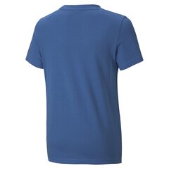 Poiste vabaajasärk Puma Active Sports Graphic Tee B - 58585513, sinine hind ja info | Poiste särgid | kaup24.ee