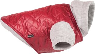Amiplay куртка Boston, S, бордовый цена и информация | Одежда для собак | kaup24.ee