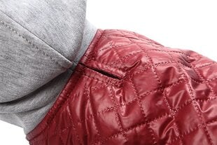 Amiplay куртка Boston, XL, бордовый цена и информация | Одежда для собак | kaup24.ee