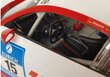 Kaugjuhitav auto Audi R8 LMS White Red цена и информация | Poiste mänguasjad | kaup24.ee