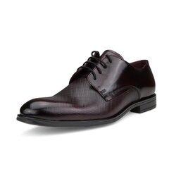 Meeste klassikalised kingad Nicolo Ferretti 52021005222, pruun hind ja info | Meeste kingad, saapad | kaup24.ee