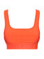 Rinnahoidja GUESS AILEEN ACTIVE BRA ORANGE NEON V2GP08MC049 G5H8 45884 hind ja info | Rinnahoidjad | kaup24.ee