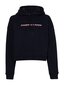 Naiste dressipluus Tommy Hilfiger REGULAR GRAPHIC HOODIE LS NAVY S10S101264 DW5 45767 цена и информация | Naiste kampsunid | kaup24.ee