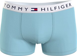 Meeste bokserid Tommy Hilfiger 1 PAK MINT UM0UM01646 CS2 43410 цена и информация | Мужские трусы | kaup24.ee