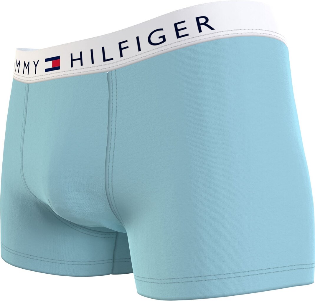 Meeste bokserid Tommy Hilfiger 1 PAK MINT UM0UM01646 CS2 43410 цена и информация | Meeste aluspesu | kaup24.ee