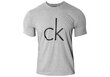 Meeste T-särk Calvin Klein T-SHIRT CREW NECK, hall NB1164E 6HY 42995 цена и информация | Meeste T-särgid | kaup24.ee