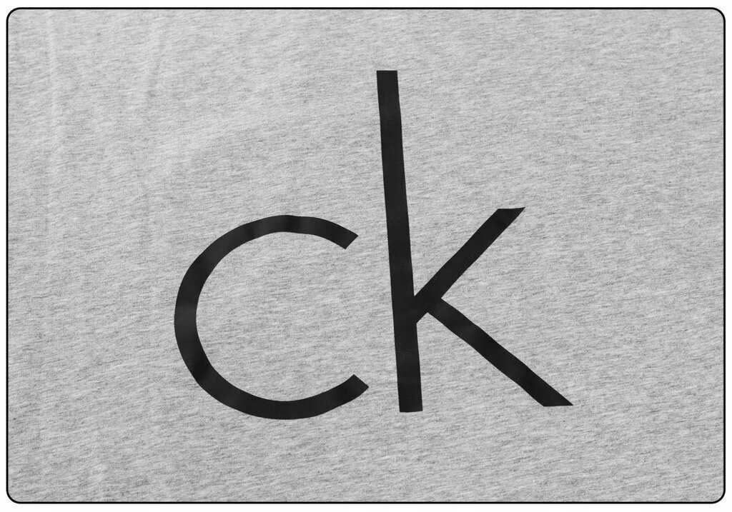 Meeste T-särk Calvin Klein T-SHIRT CREW NECK, hall NB1164E 6HY 42995 цена и информация | Meeste T-särgid | kaup24.ee