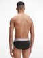 Meeste aluspüksid Calvin Klein HIP BRIEF 3 paari, must 000NB3129A 7V1 45197 цена и информация | Meeste aluspesu | kaup24.ee