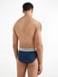 Meeste aluspüksid Calvin Klein HIP BRIEF 3 paari, punane/tumesinine/grafiidivärvi 000NB3129A 109 45182 цена и информация | Meeste aluspesu | kaup24.ee