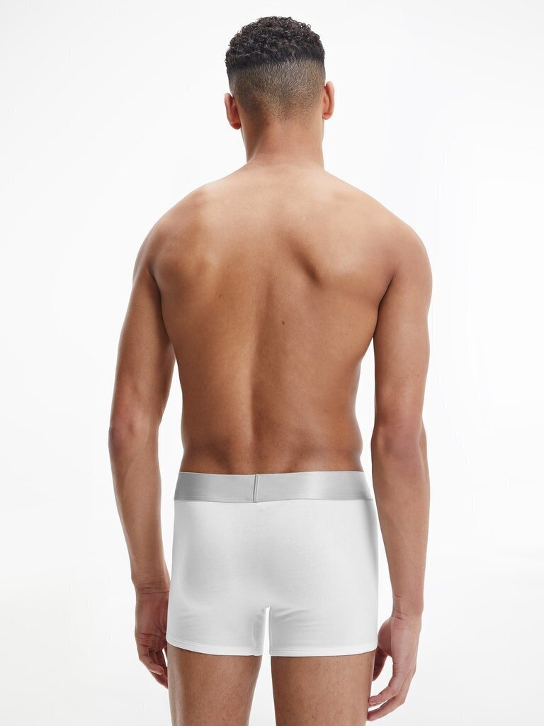 Meeste aluspüksid Calvin Klein TRUNK, 3 paari, valge/hall/must 000NB3130A MPI 45084 hind ja info | Meeste aluspesu | kaup24.ee