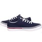 Meeste tossud Tommy Hilfiger JEANS ESSENTIAL LOW CUT, TUMESININE EM0EM00962 C87 44105c цена и информация | Spordi- ja vabaajajalatsid meestele | kaup24.ee