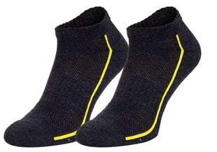Мужские носки HEAD SOCKS PERFORMANCE SNEAKER 2 пары, серые 791018001 009 44679 цена и информация | Meeste sokid | kaup24.ee