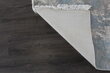 Vaip Dove Mist 2017011 Lblu 170x241 cm hind ja info | Vaibad | kaup24.ee