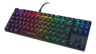 Механическая клавиатура Deltaco Gaming DK420 TKL, черный цена и информация | Клавиатура с игровой мышью 3GO COMBODRILEW2 USB ES | kaup24.ee