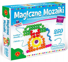 Волшебная Мозаика 250 Элементов цена и информация | Развивающие игрушки и игры | kaup24.ee