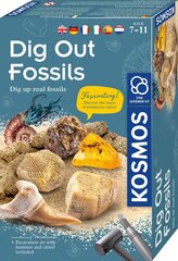 Loovkomplekt Dig out fossils, 3+ aastastele цена и информация | Развивающие игрушки | kaup24.ee