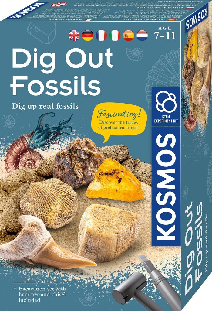 Loovkomplekt Dig out fossils, 3+ aastastele цена и информация | Arendavad mänguasjad | kaup24.ee