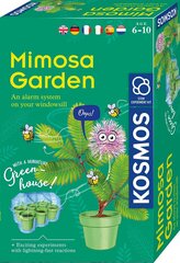 Креативный набор Mimosa garden 6 л.+ цена и информация | Развивающие игрушки и игры | kaup24.ee