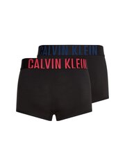 Meeste aluspüksid Calvin Klein, 2 paari, must 000NB2602A 1SQ 45087 hind ja info | Meeste aluspesu | kaup24.ee