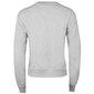 Naiste dressipluus Guess CN ICON SWEATSHIRT, hall W2RQ20K68I0 LHY 42805 hind ja info | Naiste kampsunid | kaup24.ee