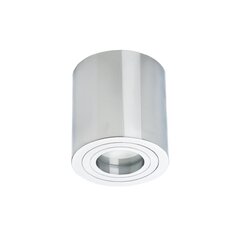 Light Prestige laevalgusti Faro hind ja info | Laelambid | kaup24.ee