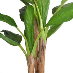 vidaXL kunsttaim banaanipuu potiga 175 cm roheline hind ja info | Kunstlilled | kaup24.ee