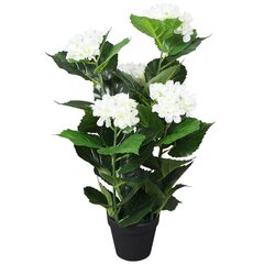 vidaXL kunsttaim hortensia potiga, 60 cm, valge hind ja info | Kunstlilled | kaup24.ee