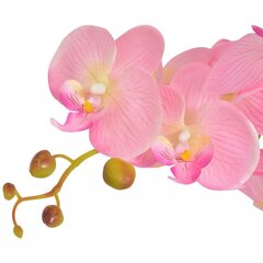 Искусственная орхидея с вазоном, 75 см, розовая цена и информация | Искусственные цветы | kaup24.ee