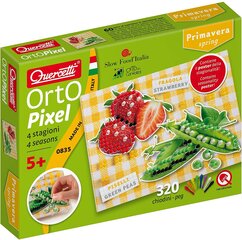 Мозаика Orto Pixel, Quercetti 0835 Li цена и информация | Развивающие игрушки | kaup24.ee