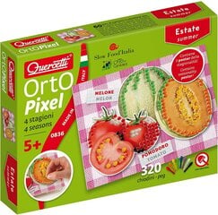 Mosaiik Orto Pixel, Quercetti 0836 Li hind ja info | Arendavad mänguasjad | kaup24.ee