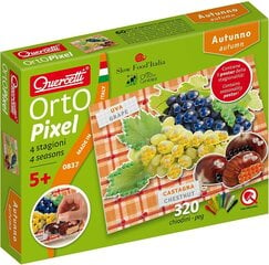 Мозаика Orto Pixel, Quercetti 0837 Li цена и информация | Развивающие игрушки и игры | kaup24.ee